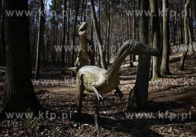 Gdansk. Nowo otwarty park dinozaurow w oliwskim zoo....
