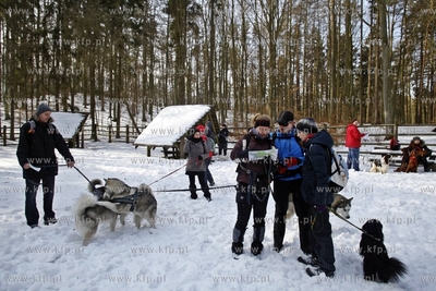 Sopot. Borodziej. Zawody dogtrekkingu - inauguracja...