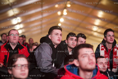 Mistrzostwa Europy w piłce ręcznej. Kibice oglądają...