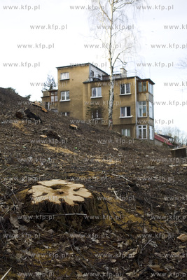 Wycinka drzew na skarpie przy ul. Sienkiewicza w Gdyni....