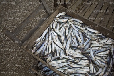 Fischmarkt ( Targ Rybny ) na Ołowiance.
18.08.2018
fot....