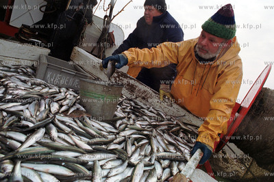 Kuter rybacki. Polow sledzia na Zatoce Gdanskiej. 21.11.2001...