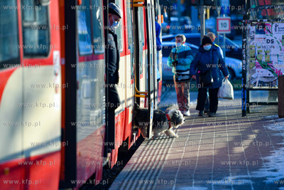Tramwaj duwag n8c lini 10 na Hucisku 27.01.2021 fot....