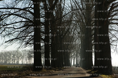 Wyspa Sobieszewska. Trasa między Mikoszewem a Błotnikami....
