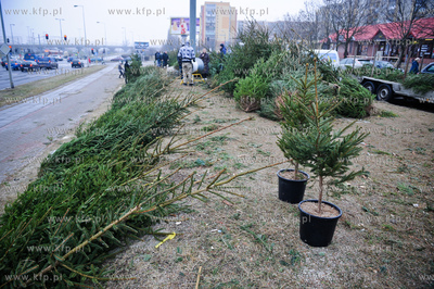 Gdansk. Sprzedaz choinek na osiedlu Chelm. 
23.12.2011
fot....
