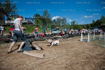 Gdynia Kolibki. Adventure Park. Festyn Edukacyjny pt....