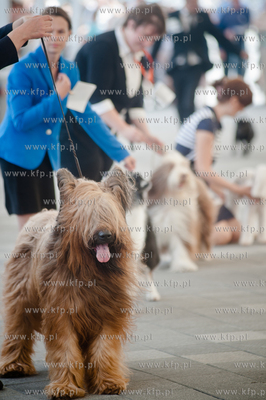Gdansk. Teren przed stadionem PGE Arena. Miedzynarodowa...