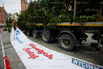 Gdansk. Dlugi Targ. Operacja stawiania swiontecznej...
