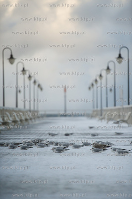 Gdynia. Orłowo. Skutki nocnego sztormu na Bałtyku....