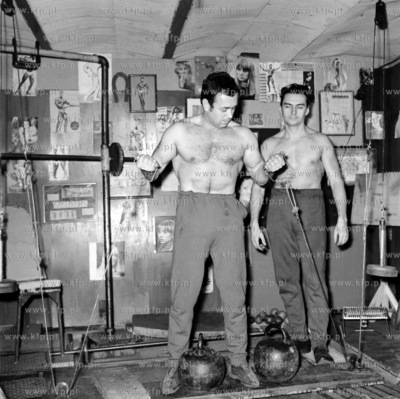 Kulturysci cwicza w silowni znajdujacej sie prawdopodobnie...