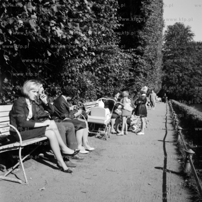 Odpoczynek w parku oliwskim w Gdańsku Oliwie. 
09.1965
1wrzesien1964_z.kosycarz_p6
Fot....
