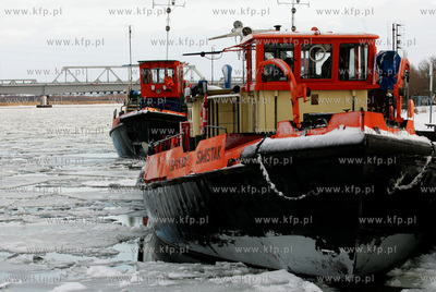 Szczecin. Wspolna akcja polskich ( Dzik, Lis, Zbik,...