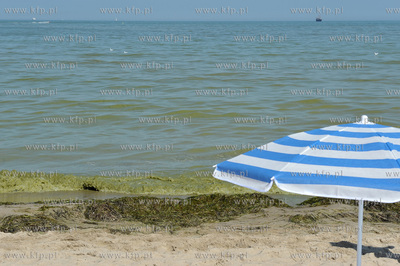 Sopot. Plaza. Zakaz kapieli w wodach Zatoki Gdanskiej...