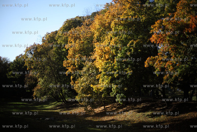 Gdansk. Park Przymorze.
17.10.2012
fot. Krzysztof...