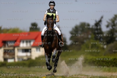 Hipodrom w Sopocie. Wszechstronny Konkurs Konia Wierzchowego...