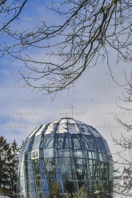 Park Oliwski zimą. Palmiarnia 12.02.2021 fot. Paweł...