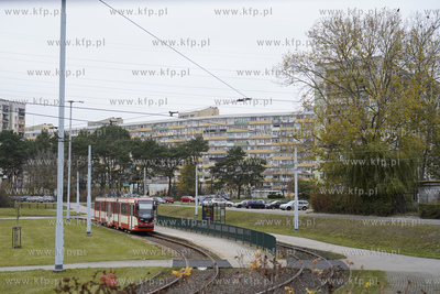 Pętla tramwajowa Zaspa. 07.11.2024 fot. Paweł Marcinko...