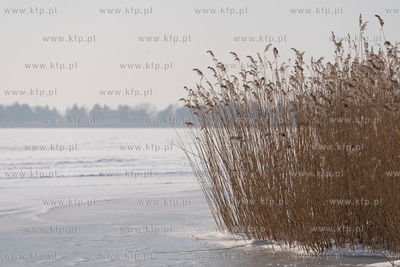 Zima na Mierzei Wiślanej. Widok na zamarznięty Zalew...