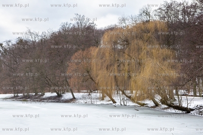 Zima w Parku Oruńskim. 04.02.2019 / Fot. Anna Rezulak...