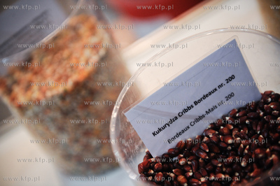 Gdansk. Miedzynarodowe Targi Gdanskie SA. 
6. Miedzynarodowe...