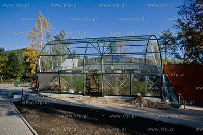 Gdansk. Oliwskie Zoo. Przyjazd czterech lwow, trzech...