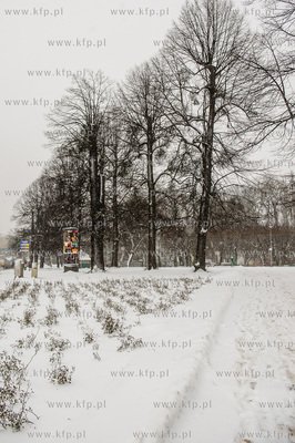 Gdańsk. Wrzeszcz. Park Uphagena. 
08.02.2017
fot....
