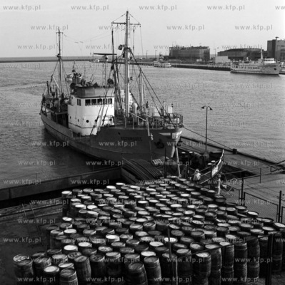 Kuter Koziorożec w porcie rybackim w Gdyni. 
9.11.1972
2listopad72_z.kosycarz_p13
Fot....