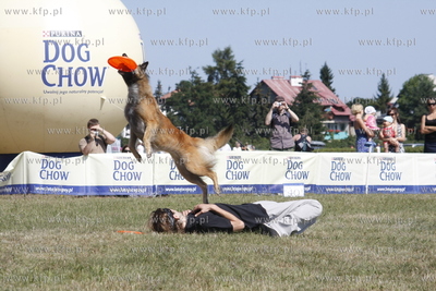 Sopocka Wystawa Psow Rasowych. W trakcie wystawy odbywaly...