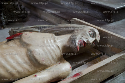 Z powodu pandemii koronawirusa wierni nie mogą uczestniczyć...