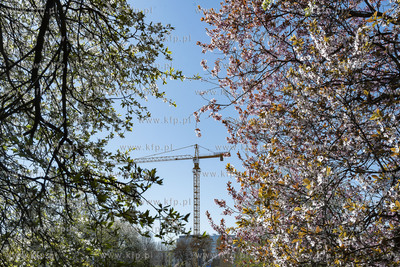 Gdynia Śródmieście. 19.04.2019 Fot. Anna Bobrowska...