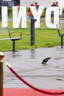 46. Festiwal Polskich Filmów Fabularnych w Gdyni....