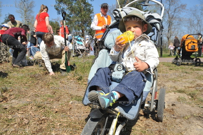 "Las ojców" - czyli sadzenie drzewek przez gdanskich...
