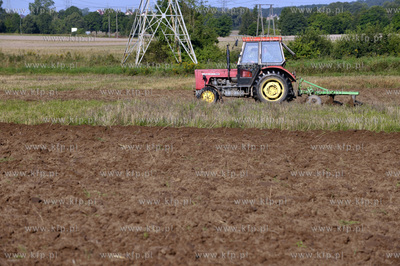 Orka na polu w Leznie na Kaszubach przy drodze w kierunku...