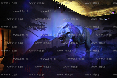 Londyn. Muzeum Historii Naturalnej.
07.10.2011
fot....