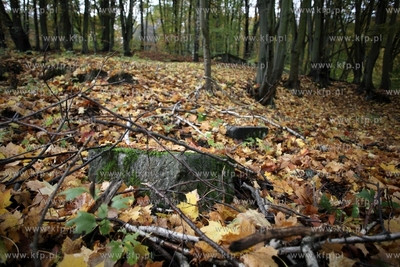 Pozostalosci cmentarza zydowskiego na  Krolewskim Wzgorzu...