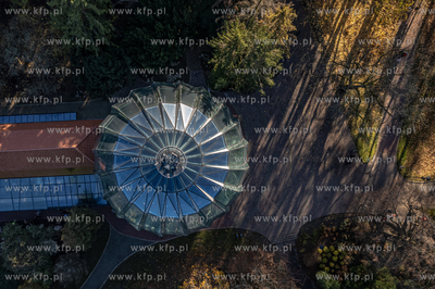 Park Oliwski. Palmiarnia.
06.11.2022
fot. Krzysztof...