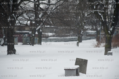 Gdansk. Park Stefensa wzdluz Al. Zwyciestwa.
20.03.2013
fot....