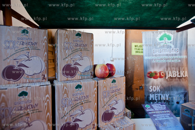 Gdynia. Zabytkowa wozownia w Parku Kolibki. Eko - Targi...