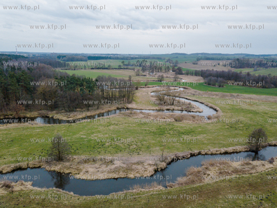 Wierzyca - rzeka w północnej Polsce, lewy dopływ...