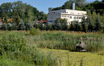 Teren pomiedzy kosciolem WNMP a restauracja Gryf. 10.07.2014...