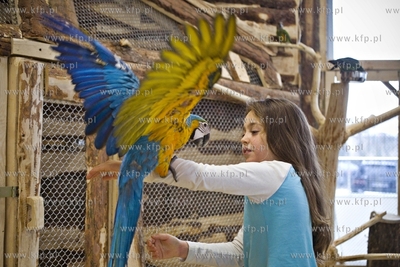 Nowa Papugarnia w Gdańsku Suchaninie.
29.12.2016
fot....