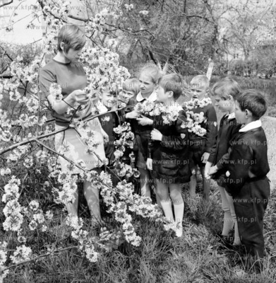 Uczniowie w szkolnym ogrodku. 17.05.1971 4maj71_z.kosycarz_p29...