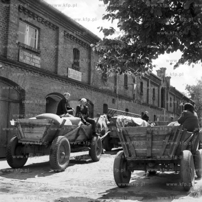 Kolejka wozow przed skupem ziarna w Nowym Dworze Gdanskim.
25.07.1968
0001363z_lipiec1968
Fot....