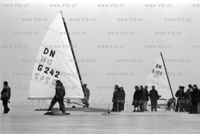 Bojerowe mistrzostwa Europy w Krynicy Morskiej na Zalewie...