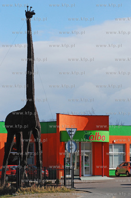 Delikatesy "Albo" w Rumi gdzie odnaleziono porzucona...