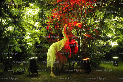 XIII Miedzynarodowy Festiwal Teatrow Plenerowych i...