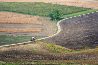 Morawy. Czechy. Okolice miejscowosci Kijev. Nz. pola...