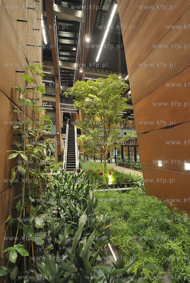 Europejskie Centrum Solidarnosci. Gdansk. Swiateczny...