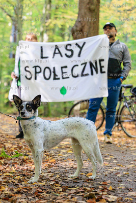 Sopot.  Wielka Gwiazda,  Lasy Sopockie.  Uroczyste...