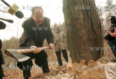 Pawel Adamowicz, prezydent Gdanska scina pierwsze drzewo...